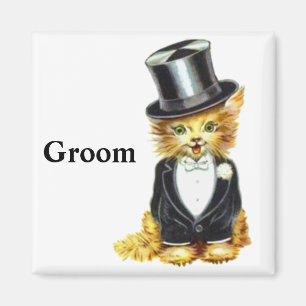 Íman Cat Groom