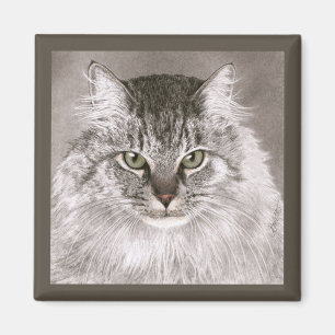 Íman Cat Magnet - "Merlin"