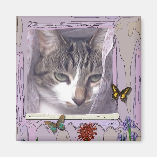 Íman Cat na janela (Frente)