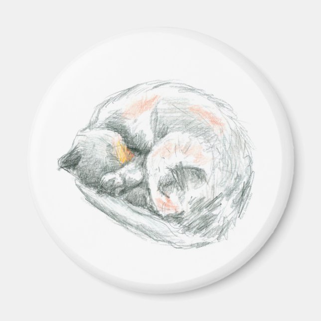 Íman Cat Nap (Frente)