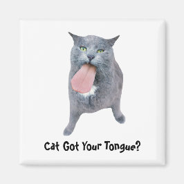 Íman Cat Pegou Sua Língua?