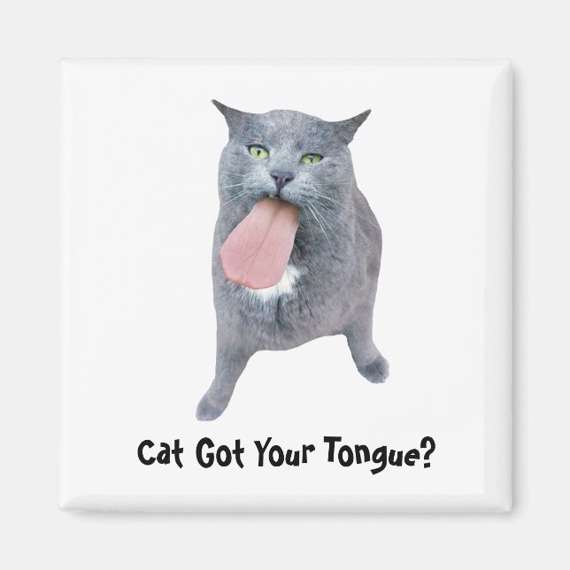 Íman Cat Pegou Sua Língua? (Frente)