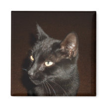 Íman CAT PRETO