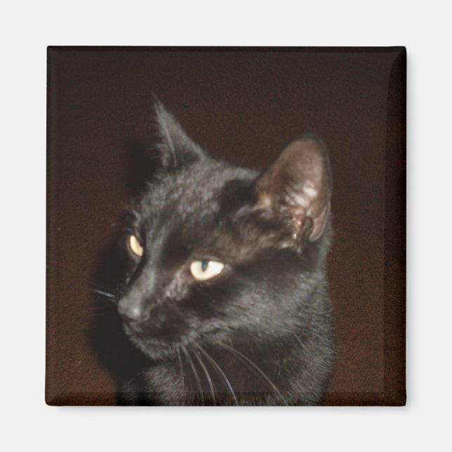 Íman CAT PRETO (Frente)