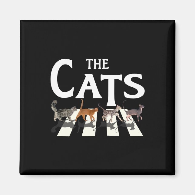 Íman Cat Rock Música Engraçada presentes para gatos (Frente)