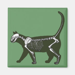 Íman Cat Skeleton