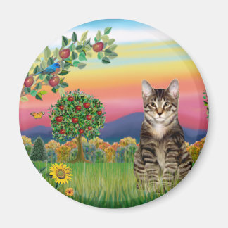 Íman Cat (Tabby1) - País Brilhante