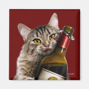 Íman Cat With Wine Bottle