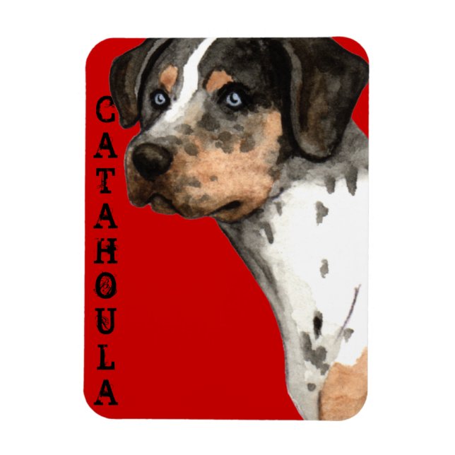 Íman Catahoula Color Block (Vertical)