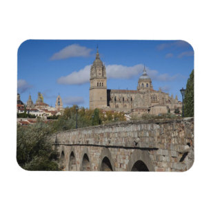 Íman Catedrais de Salamanca, vistas da Puente Romano