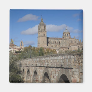 Íman Catedrais de Salamanca, vistas da Puente Romano
