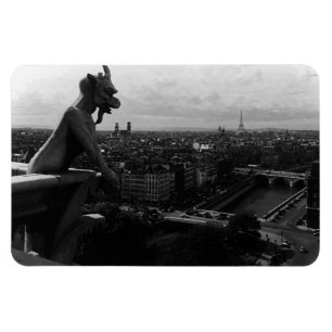 Íman Catedral de Notre Dame Paris França vintage demôni