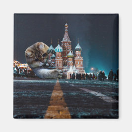 Íman Catedral de santo Basil e Hosico