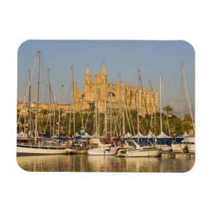 Íman Catedral e marina, Palma, Mallorca, Espanha 2
