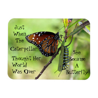 Íman Caterpillar/ímã citações da borboleta