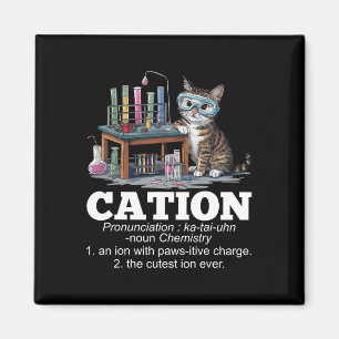 Íman Cation Chemistry Humor Science Professor Cat Pun D