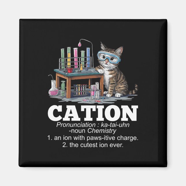 Íman Cation Chemistry Humor Science Professor Cat Pun D (Frente)