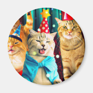 Íman Cats Magnet, Cats Party, Animal's Love