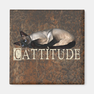 Íman Cattitude