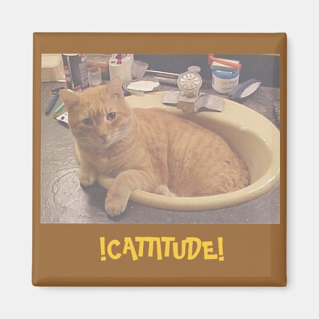 Íman !CATTITUDE!, (ou porque não posso limpar) ímã (Frente)