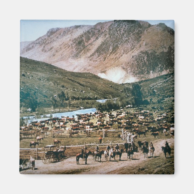 Íman Cattle Ranch, Colorado, 1899 (foto) (Frente)