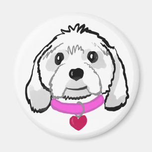 Íman Cavachon