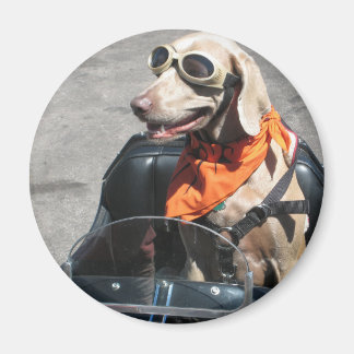 Íman Cavaleiro fácil