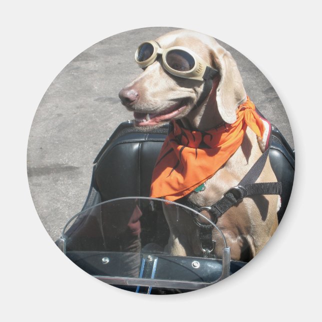 Íman Cavaleiro fácil (Frente)