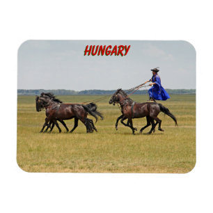 Íman Cavaleiro húngaro