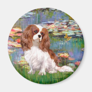 Íman Cavalier 2 (bl) - Lírios 2