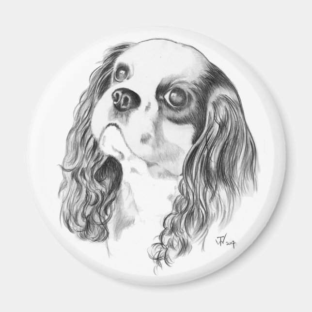 Íman Cavalier King Charles Drawing (Frente)