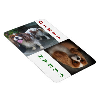 Íman Cavalier King Charles Scarlet Dishwasher Magnet