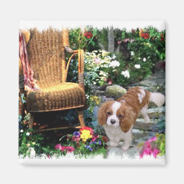 Íman Cavalier King Charles Spaniel Art
