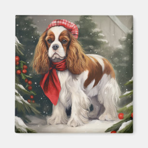 Íman Cavalier King Charles Spaniel Cachorro Natal