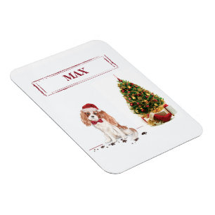 Íman Cavalier King Charles Spaniel Cachorro Natal Diver