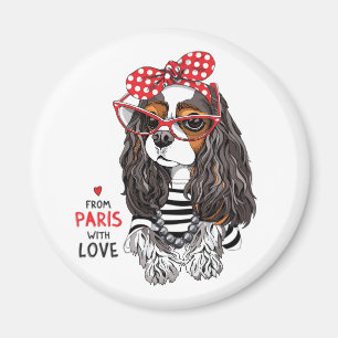 Íman Cavalier King Charles Spaniel De Paris Com Amor