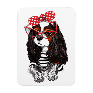 Íman Cavalier King Charles Spaniel De Paris Com Amor