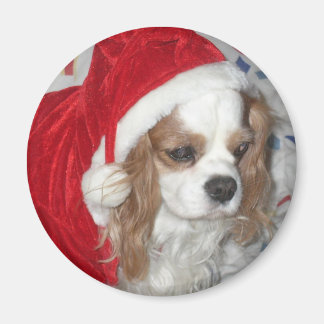 ÍMAN CAVALIER KING CHARLES SPANIEL DOG COM SANTA HAT