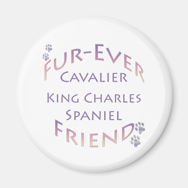 Íman Cavalier King Charles Spaniel Fuere (Frente)