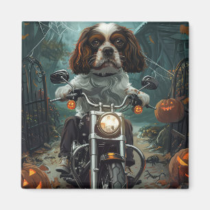 Íman Cavalier King Charles Spaniel Halloween Assustador