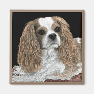 Íman Cavalier King Charles Spaniel Magnet - "Bella"