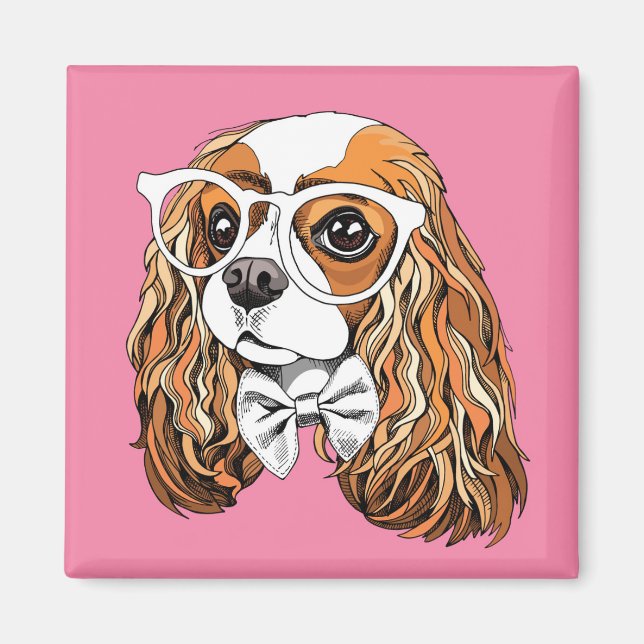Íman Cavalier King Charles Spaniel Portrait (Frente)