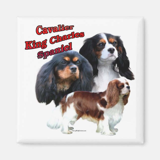 Íman Cavalier King Charles Spaniel Trio 2 - Magnet (Frente)