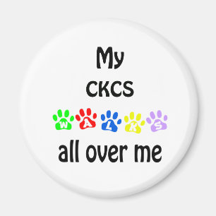 Íman Cavalier King Charles Spaniel Walks Design