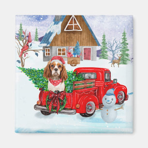 Íman Cavalier King Dog Em Neve De Caminhão No Parto De 