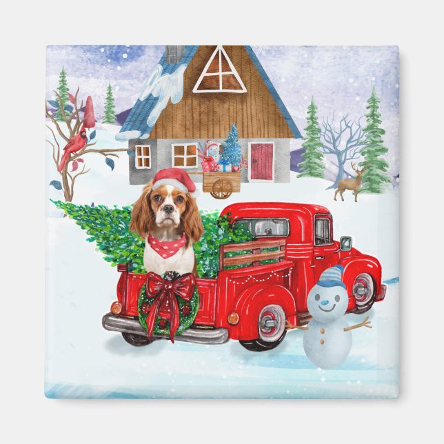 Íman Cavalier King Dog Em Neve De Caminhão No Parto De  (Frente)
