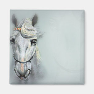 ÍMAN CAVALO