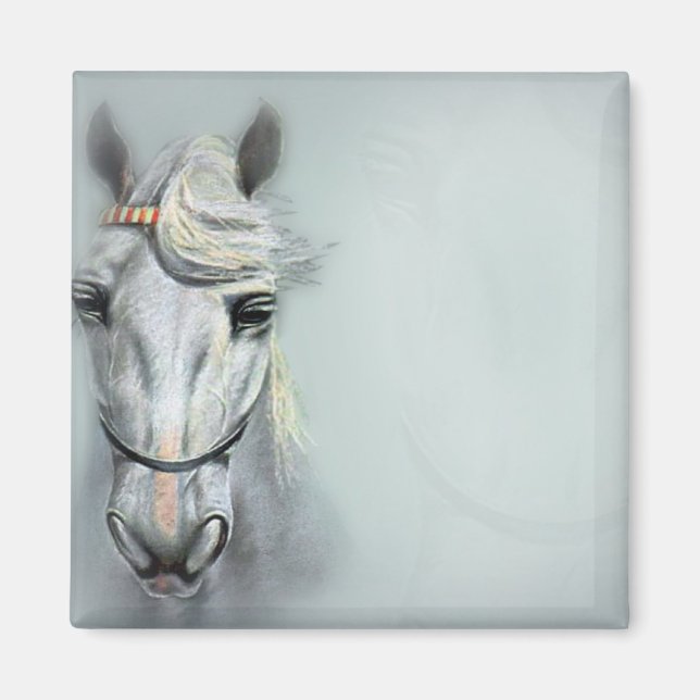 ÍMAN CAVALO (Frente)