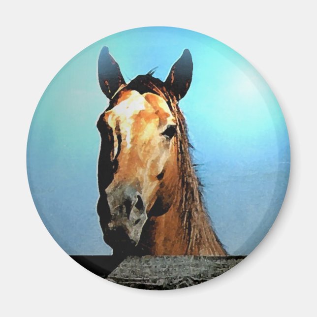 Íman Cavalo (Frente)