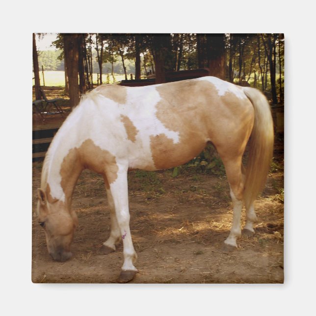 Íman Cavalo 3, Magnet (Frente)